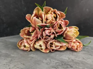 Tulip-LaBelle Epoque